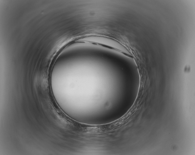 X0000094420050200711151329