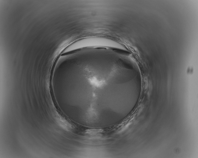 X0000094420051200711151329