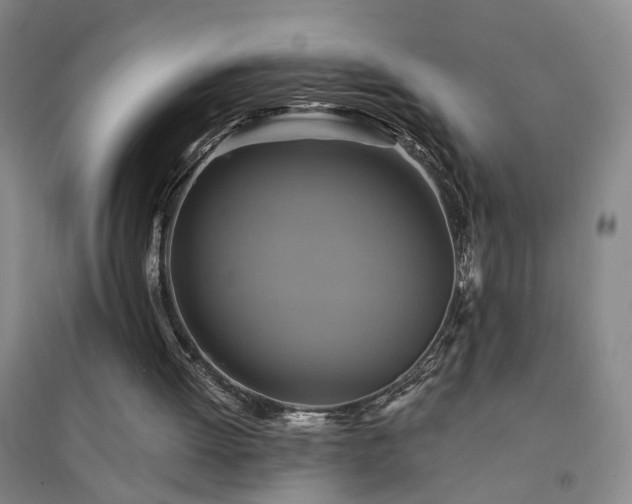 X0000094420052200711151329