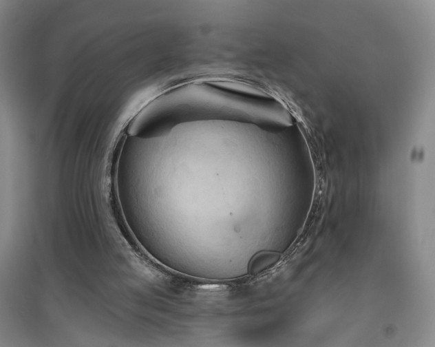 X0000094420053200711151329