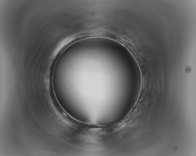 X0000094420054200711151329