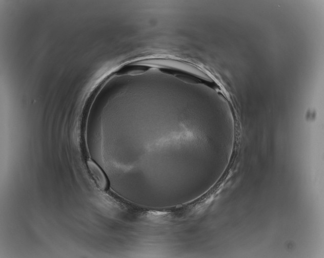 X0000094420055200711151329
