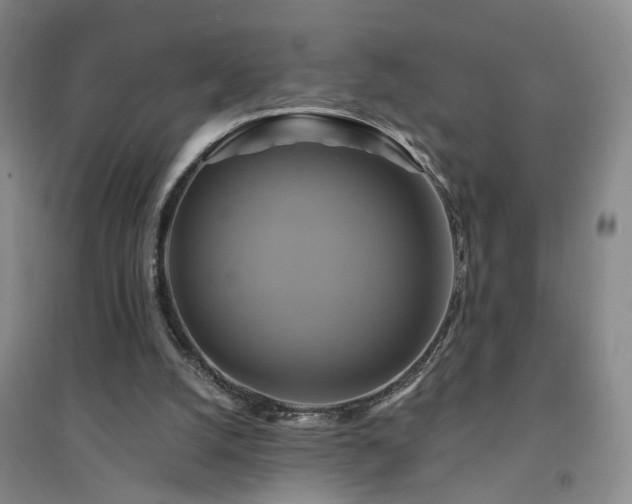 X0000094420056200711151329