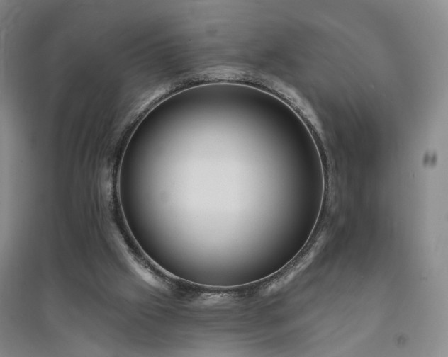 X0000094420057200711151329