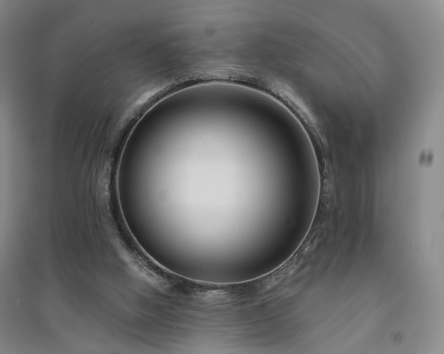X0000094420058200711151329