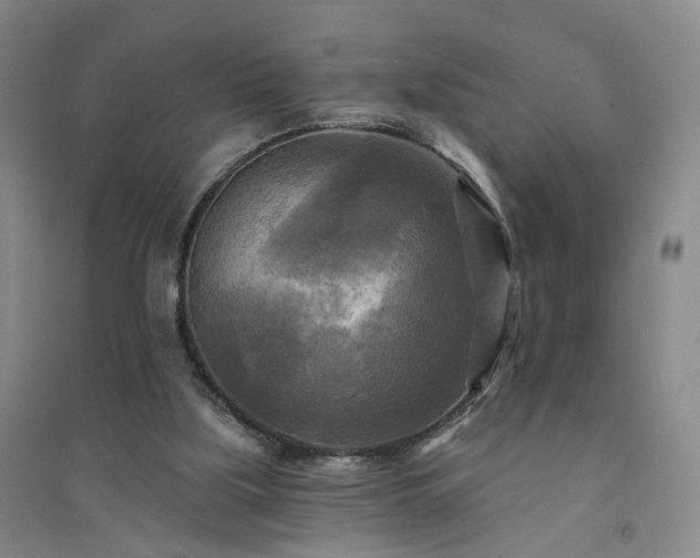 X0000094420059200711151329
