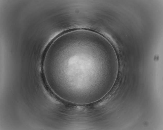 X0000094420060200711151329