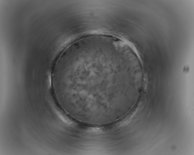 X0000094420061200711151329