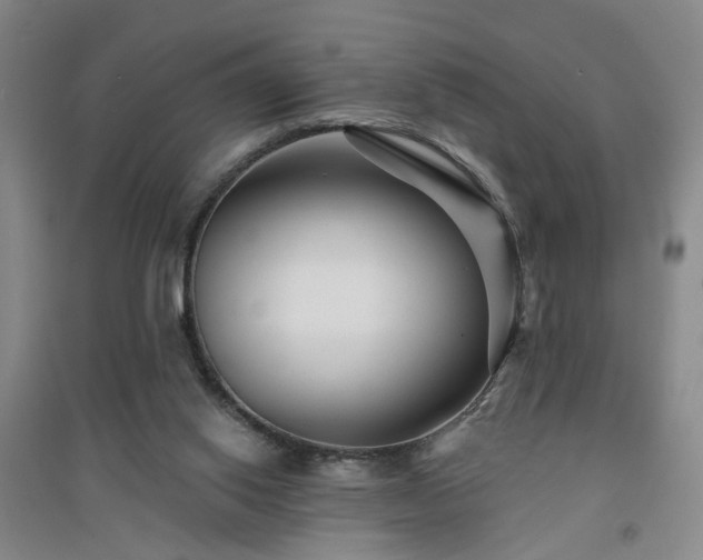 X0000094420062200711151329