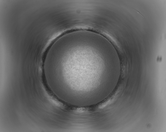 X0000094420064200711151329
