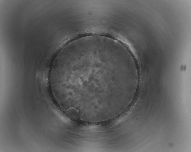 X0000094420065200711151329