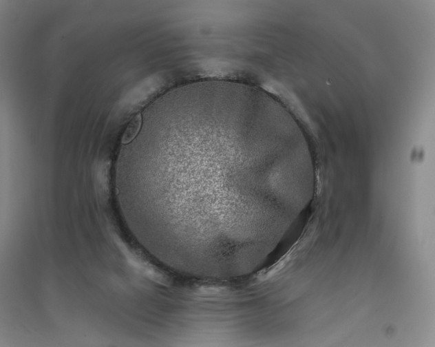 X0000094420066200711151329