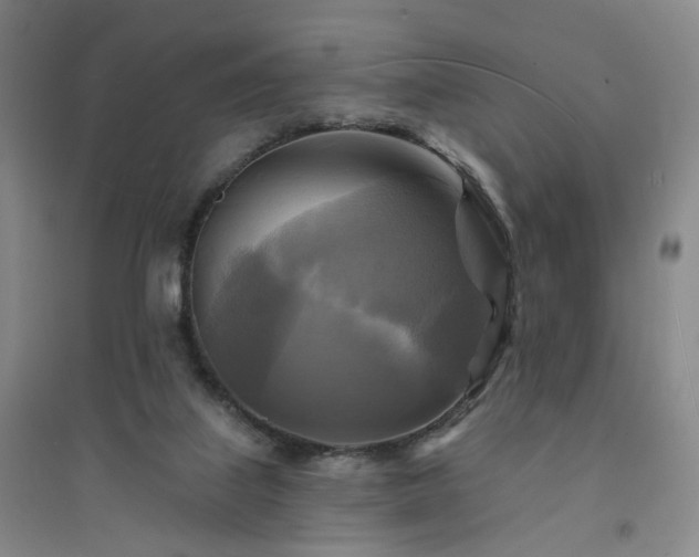 X0000094420067200711151329