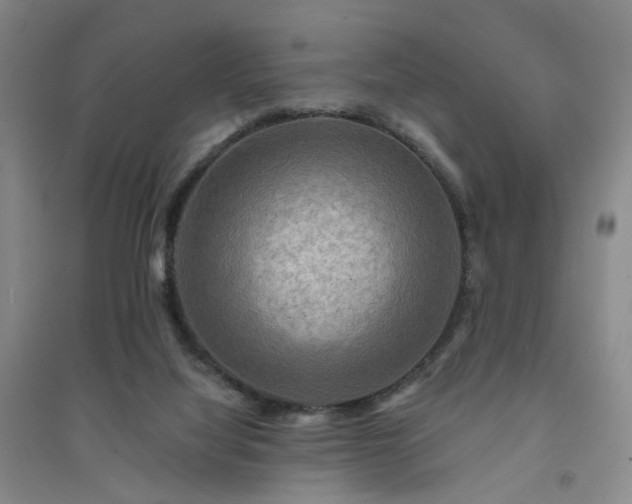 X0000094420068200711151329