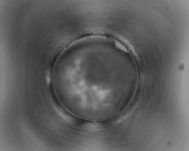 X0000094420069200711151329