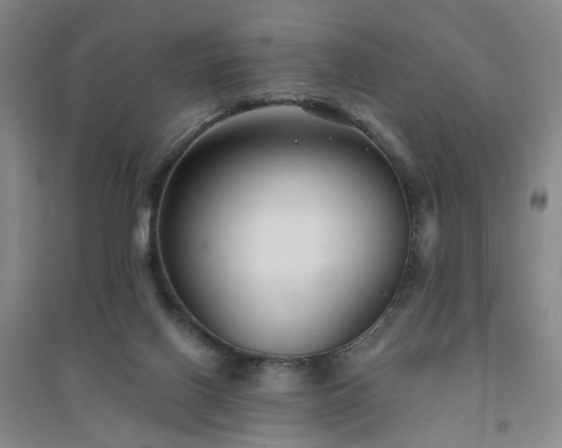 X0000094420070200711151329