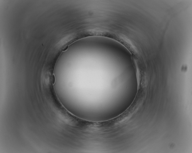 X0000094420071200711151329
