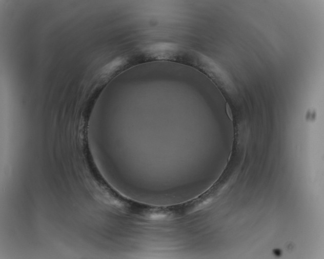 X0000094420073200711151329