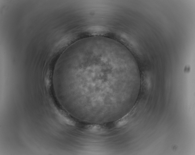 X0000094420074200711151329