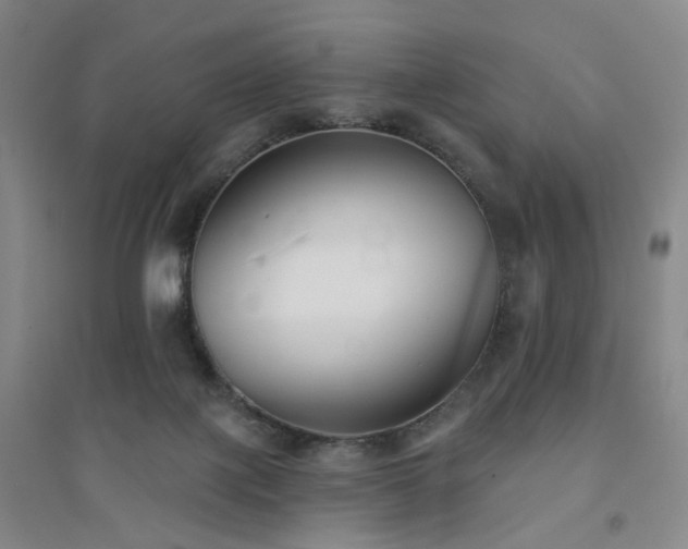 X0000094420075200711151329