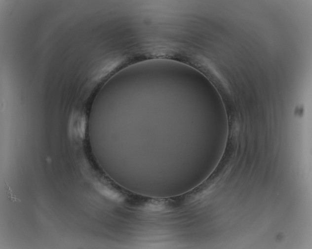 X0000094420076200711151329
