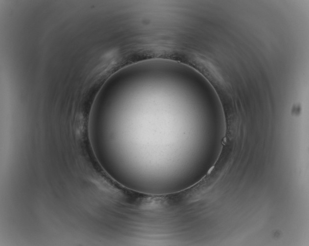 X0000094420077200711151329