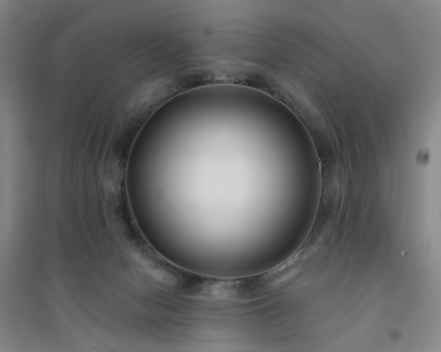 X0000094420078200711151329