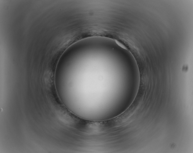 X0000094420079200711151330