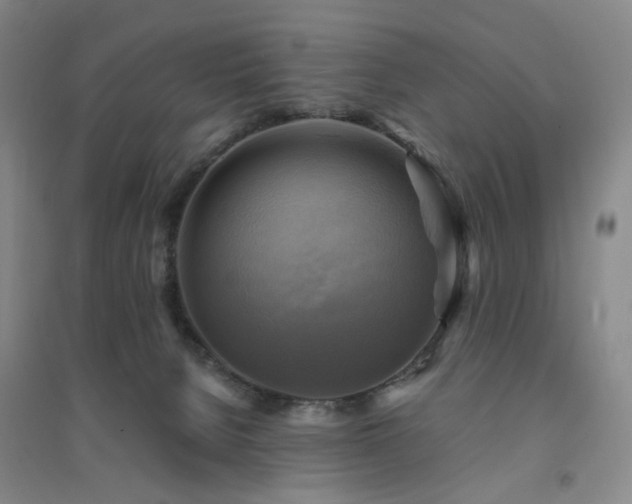 X0000094420080200711151330