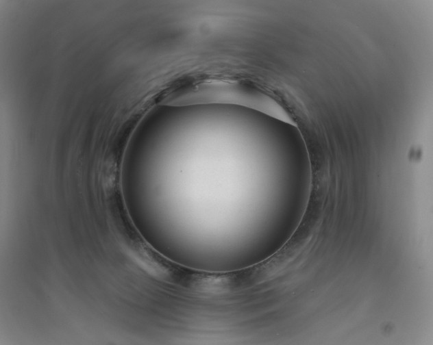 X0000094420081200711151330