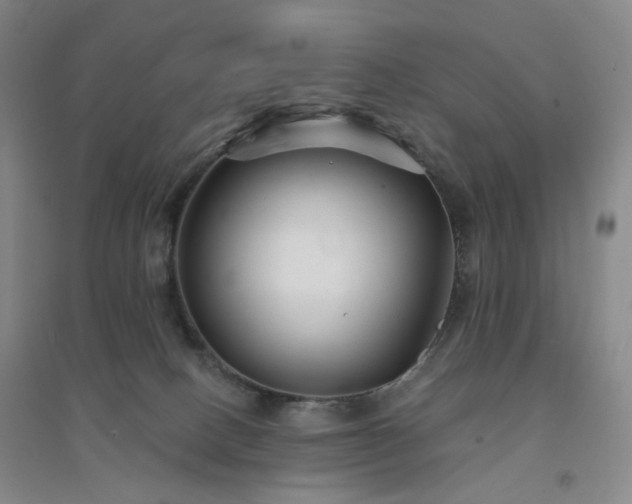 X0000094420082200711151330