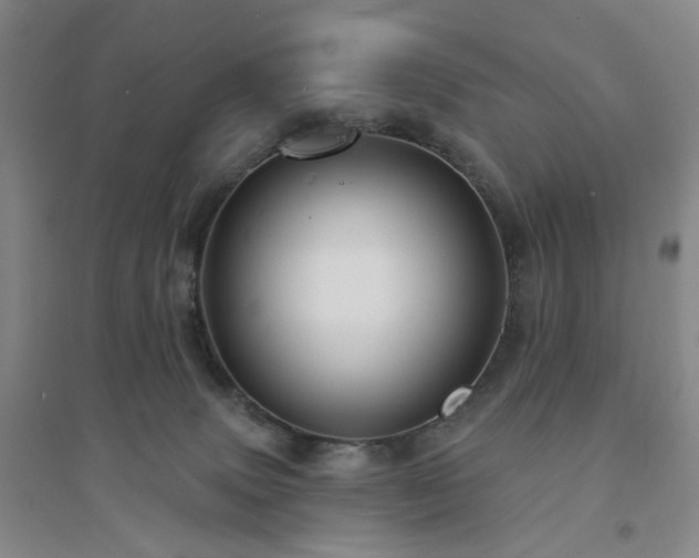 X0000094420083200711151330