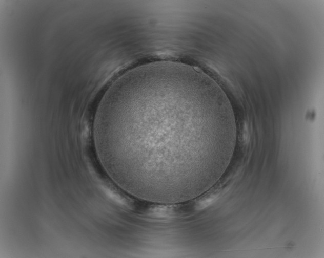 X0000094420084200711151330