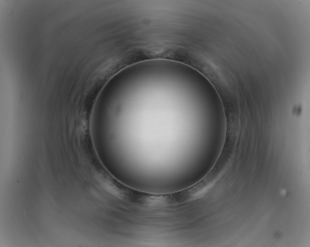 X0000094420085200711151330