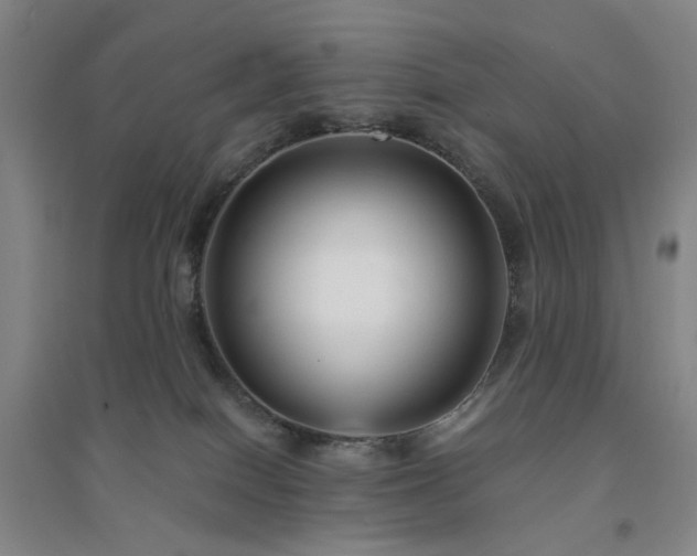 X0000094420086200711151330