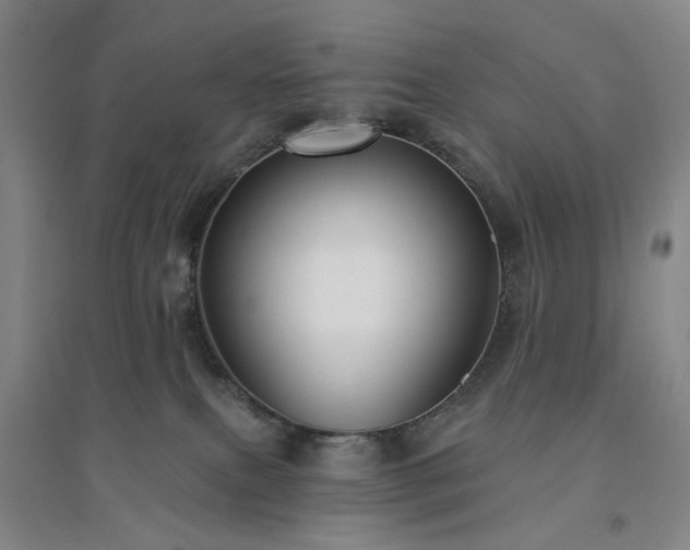 X0000094420087200711151330