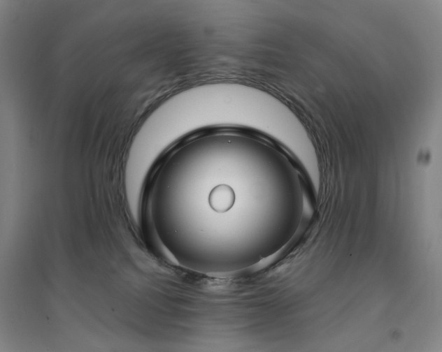 X0000094420088200711151330