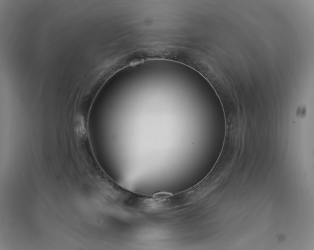X0000094420089200711151330