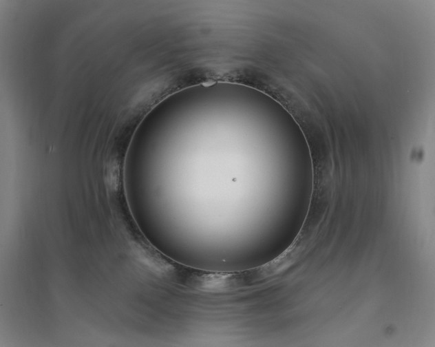 X0000094420090200711151330