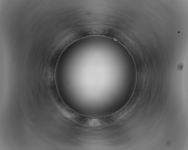 X0000094420091200711151330