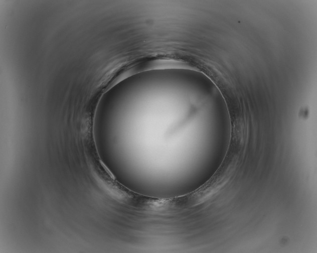 X0000094420092200711151330
