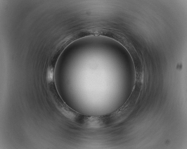 X0000094420095200711151330