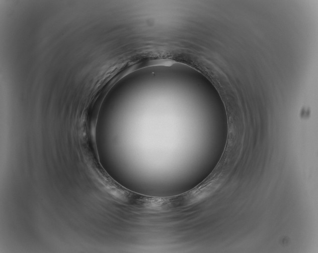 X0000094420096200711151330