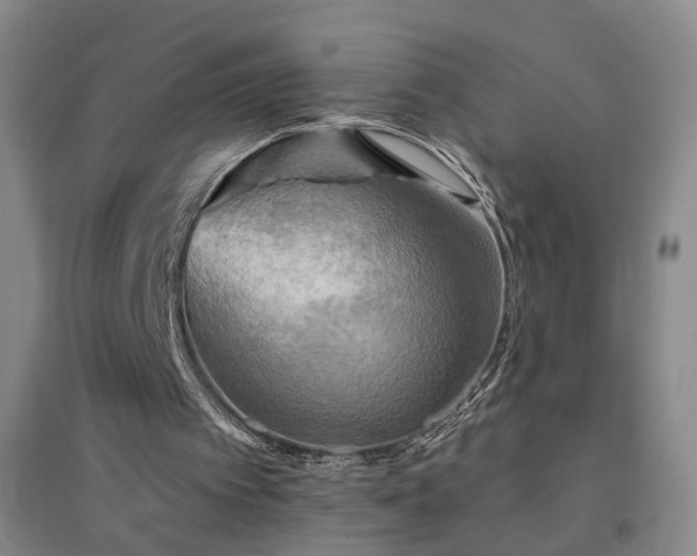 X0000094420097200711151329