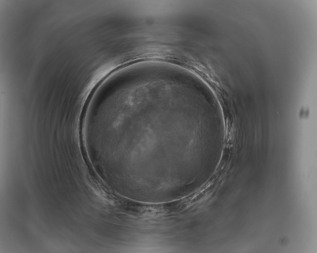 X0000094420099200711151329