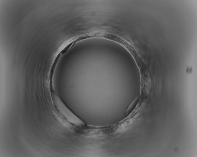 X0000094420100200711151329