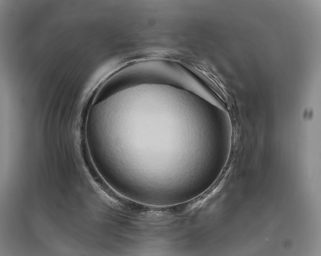 X0000094420101200711151329