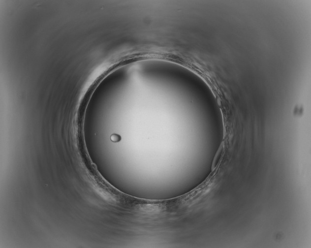 X0000094420102200711151329