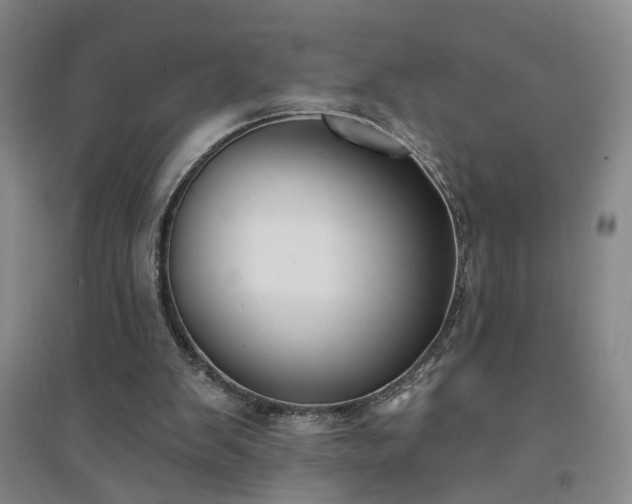 X0000094420103200711151329