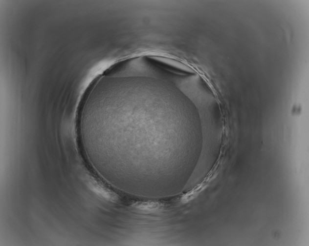 X0000094420104200711151329